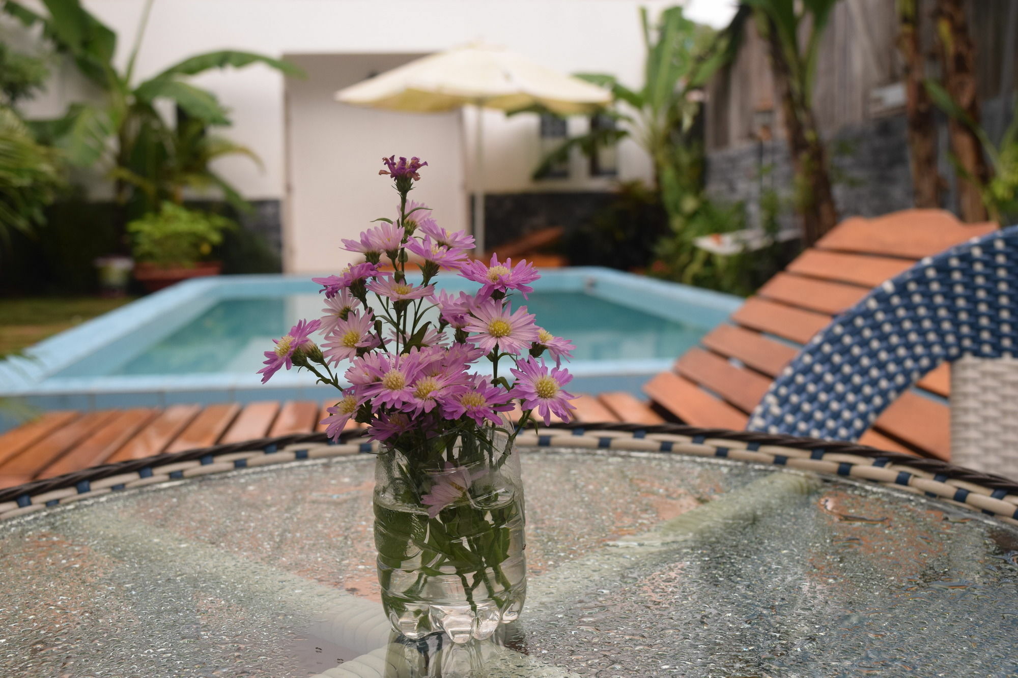 Orchid Guesthouse Phú Quốc Eksteriør billede